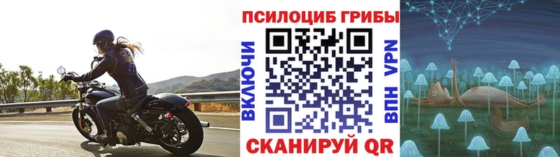 цена   Кораблино  Псилоцибиновые грибы прущие грибы 